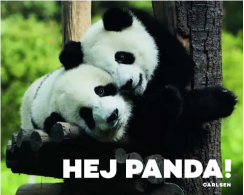 Børnebog, Hej Panda!