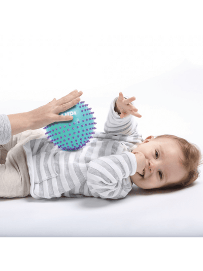 Ludi Massagebold