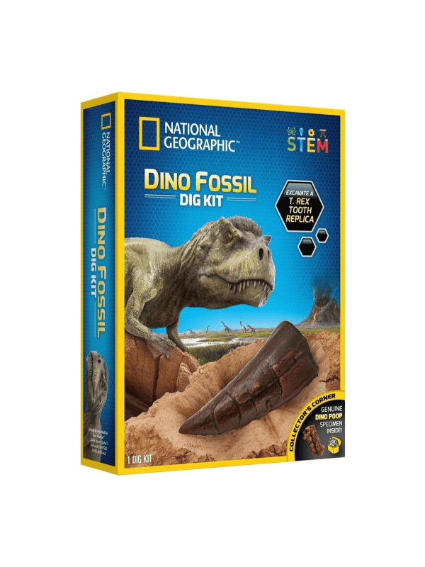 National Geographic Udgrav Dinosaur Fossil