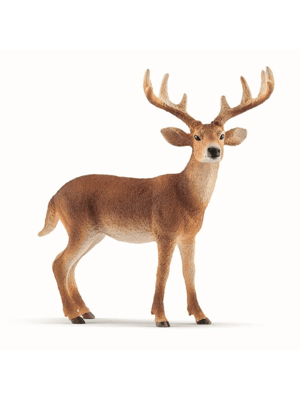 Schleich White-Tailed Buck