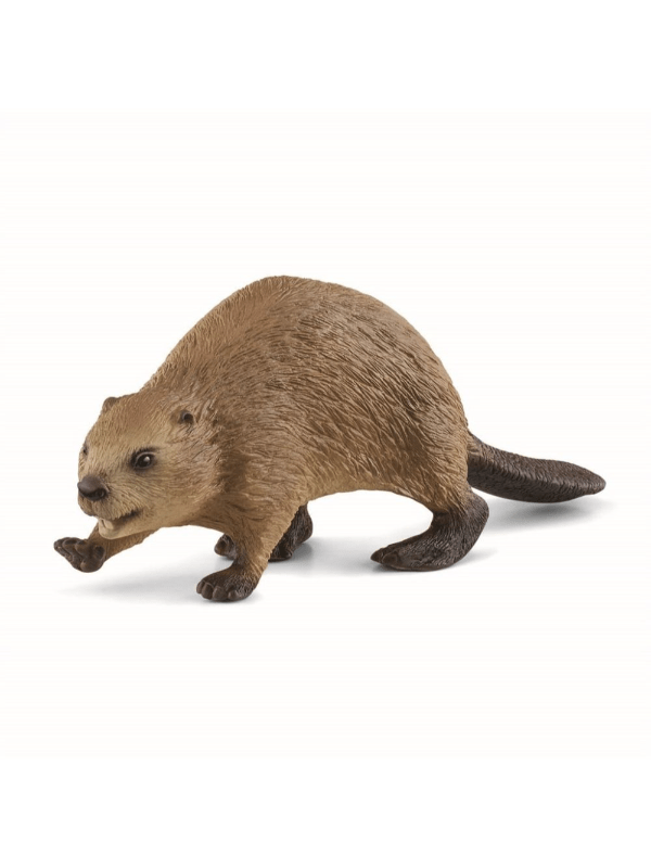 Schleich Bæver 