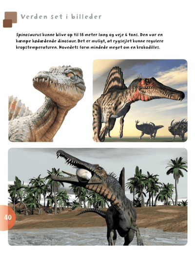 Børnebog, Dinosaurer Og Andre Øgler Fra Fortiden