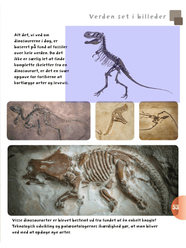 Børnebog, Dinosaurer Og Andre Øgler Fra Fortiden