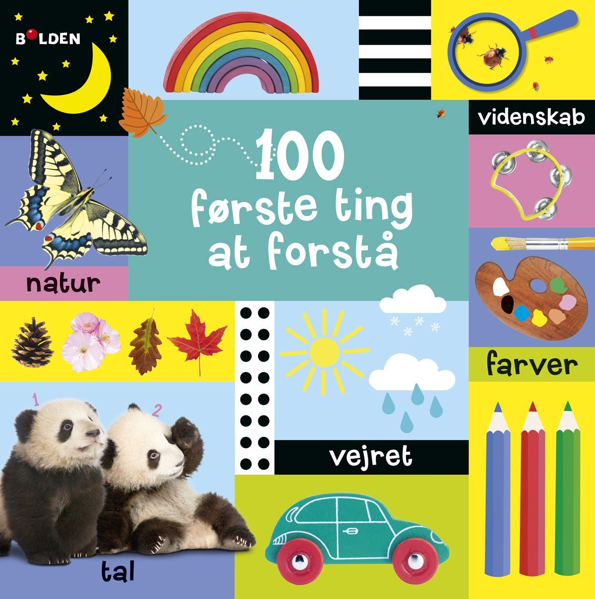 Børnebog,100 Første Ting At Forstå