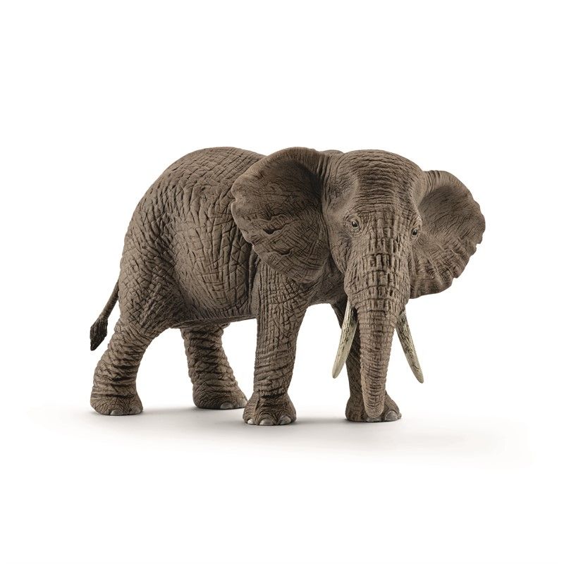 schleich elefant