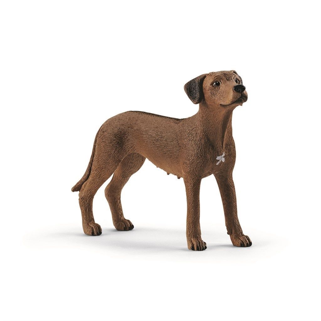 Schleich Rhodesian Ridgeback Hund