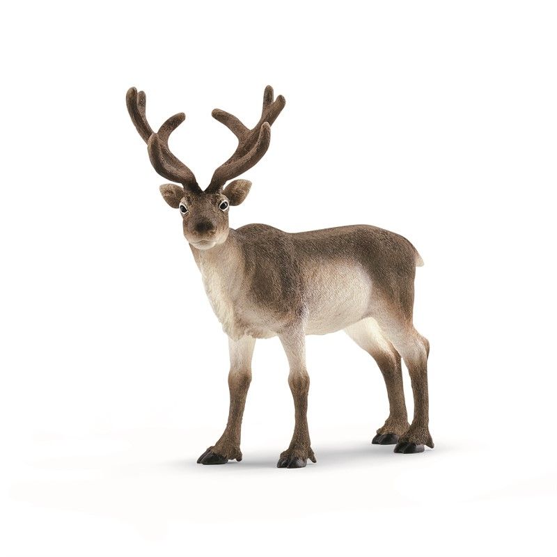 Schleich Rensdyr