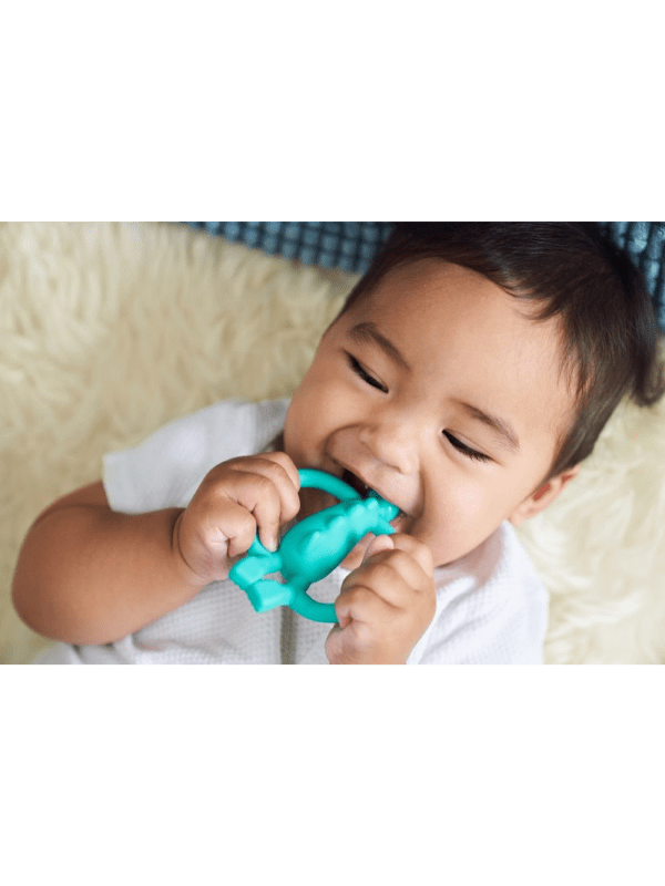 Matchstick Monkey Teether Dinosaur