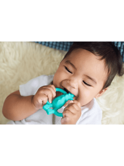 Matchstick Monkey Teether Dinosaur